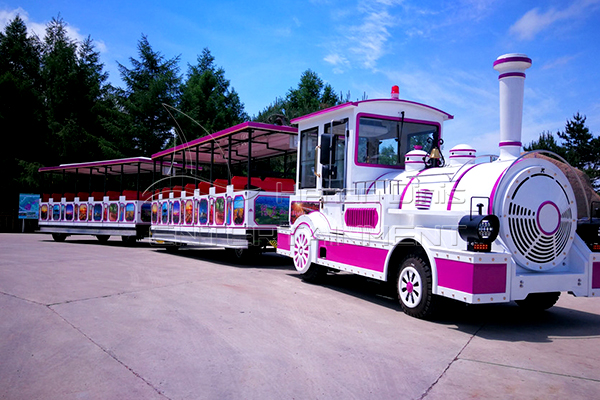 Train Tourist with 2 Cabins Running in the Scenic Area