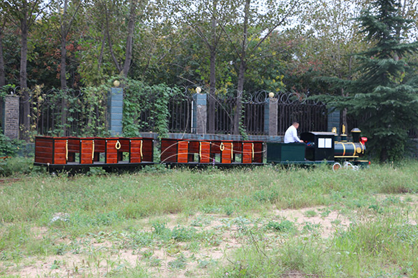 small rail park train